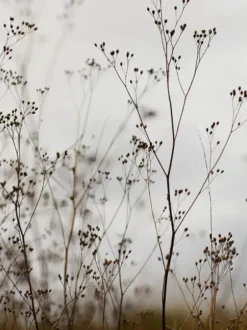 Cozy Publishing 11 minuutin kasvojooga -kirja