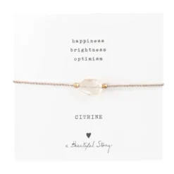 a Beautiful Story kivirannekoru