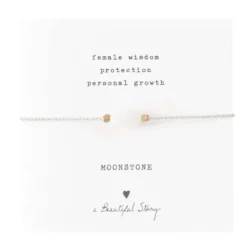 a Beautiful Story kivirannekoru