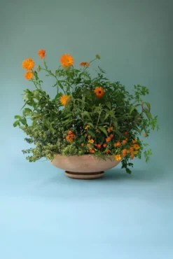 Bergs Potter - ruukku Ada RAW Rosa, Ø 30 cm