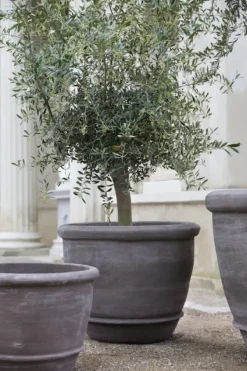 Bergs Potter - ruukku Campana RAW Grey, Ø 60 cm