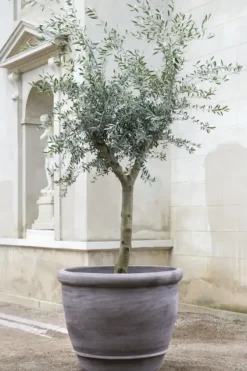 Bergs Potter - ruukku Campana RAW Grey, Ø 60 cm