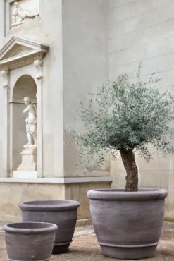 Bergs Potter - ruukku Campana RAW Grey, Ø 60 cm