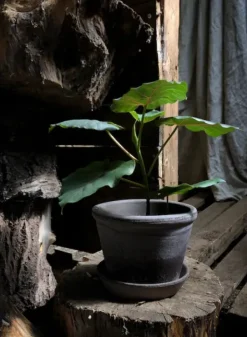 Bergs Potter - ruukku Parade RAW Grey, Ø15 cm