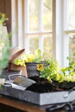 Bergs Potter - ruukku Parade RAW Grey, Ø15 cm