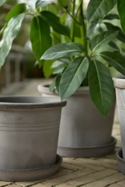 Bergs Potter Galestro harmaa ruukku Ø40cm