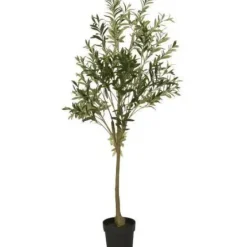 Cafe Latte Ib Laursen - Oliivipuu L h166cm