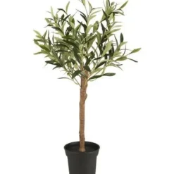 Cafe Latte Ib Laursen - Oliivipuu S h75cm