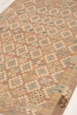 Bargi Kelim matto, multi #578 / 175x252 cm