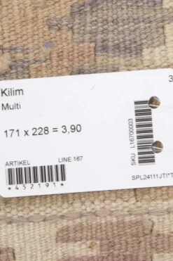Bargi Kelim matto, multi #602 / 171x228cm