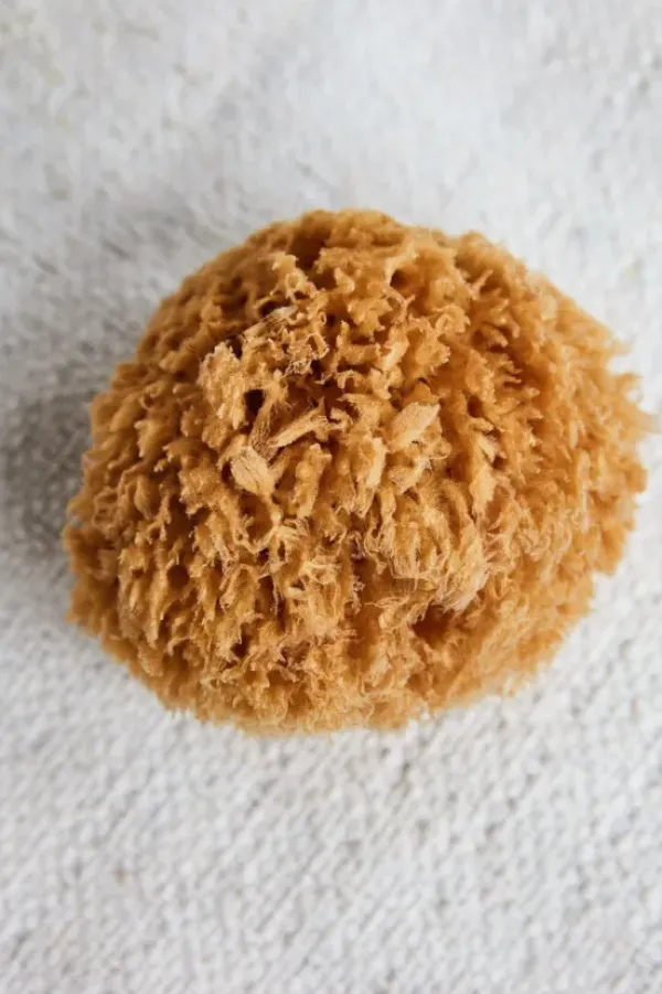 Meraki - pesusieni, Sponge Bahamas