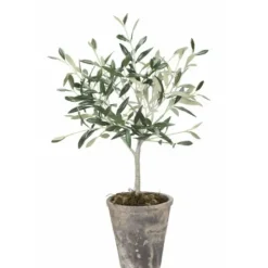 Lene Bjerre Oliivipuu H44cm