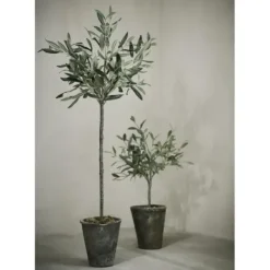 Lene Bjerre Oliivipuu H44cm
