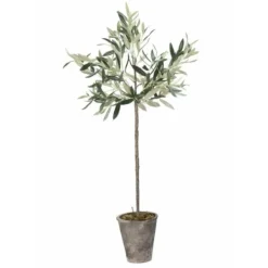 Lene Bjerre Oliivipuu H73cm