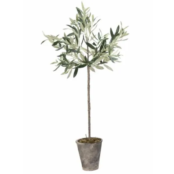 Lene Bjerre Oliivipuu H73cm