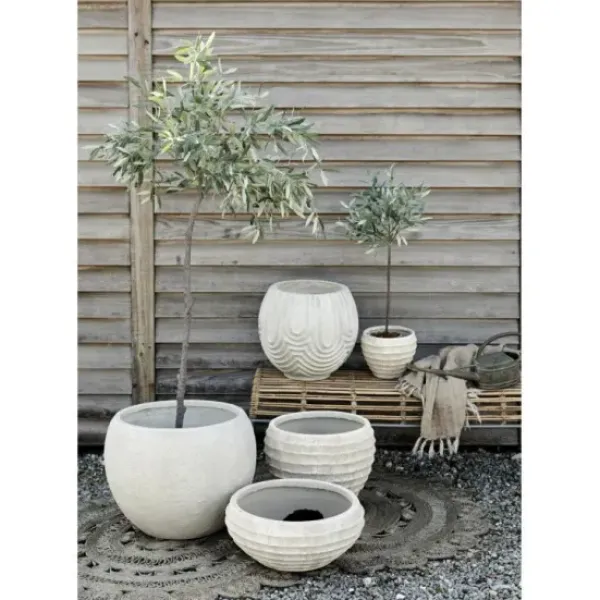 Lene Bjerre Oliivipuu H73cm