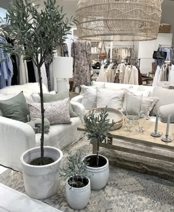 Lene Bjerre Oliivipuu H73cm