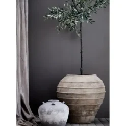 Lene Bjerre Oliivipuu H160cm