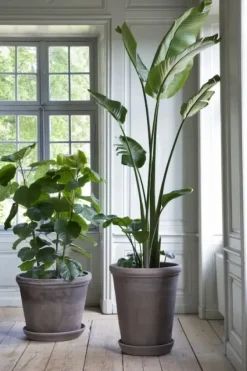 Bergs Potter Ruukku Flora RAW Grey, Ø 30 cm