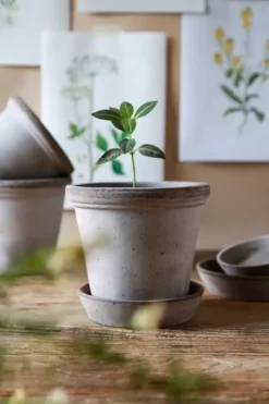 Bergs Potter Ruukku Flora RAW Grey, Ø 35 cm