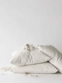 Tell Me More - höyhen 50x60 sisätyyny 940g