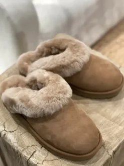 UGG - Classic slipper II, chestnut