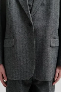 Second Female Waleria bleiseri, black