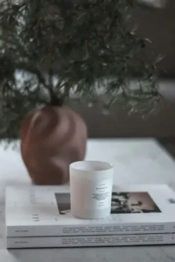 Lavliér Woodness tuoksukynttilä 150g